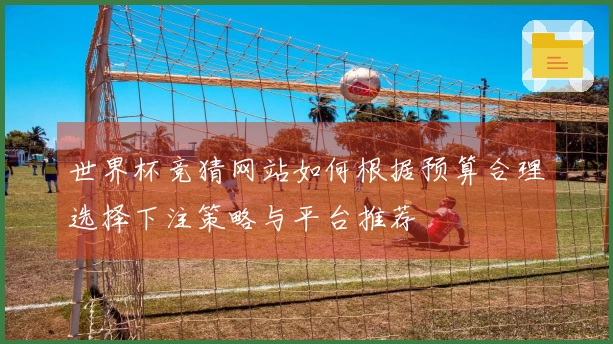 世界杯竞猜网站如何根据预算合理选择下注策略与平台推荐